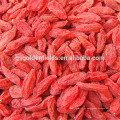 China proveedor Organic NingXia rojo goji berry